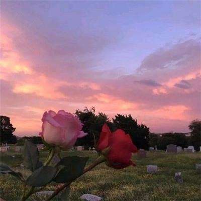 华体育手机app下载